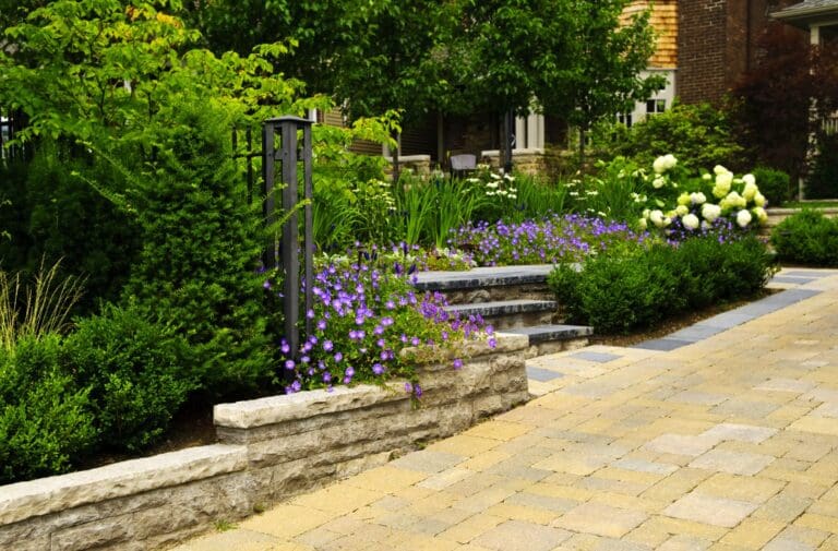 hardscapes