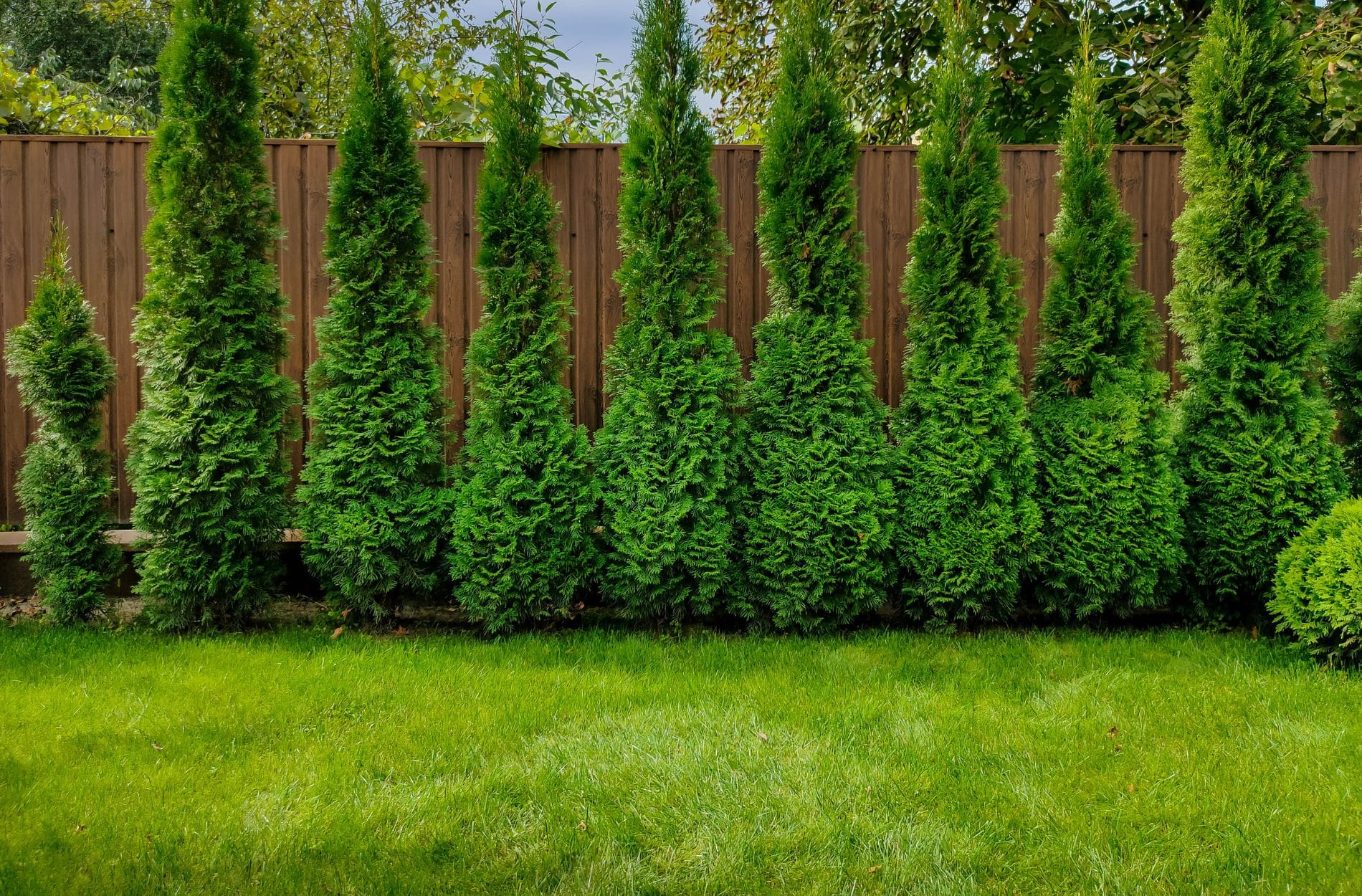 privacy landscape