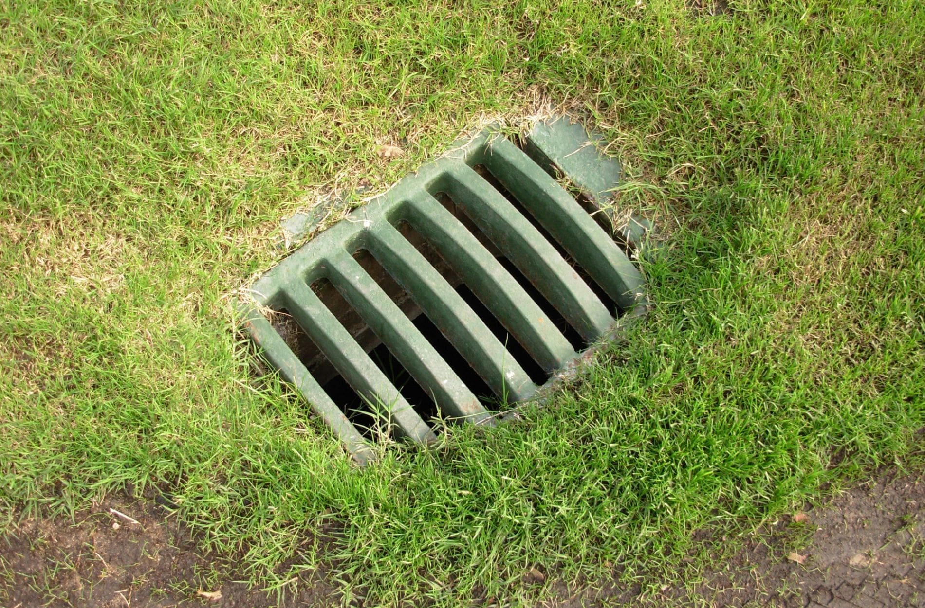 drainage
