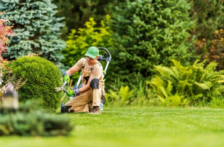 landscaping services
